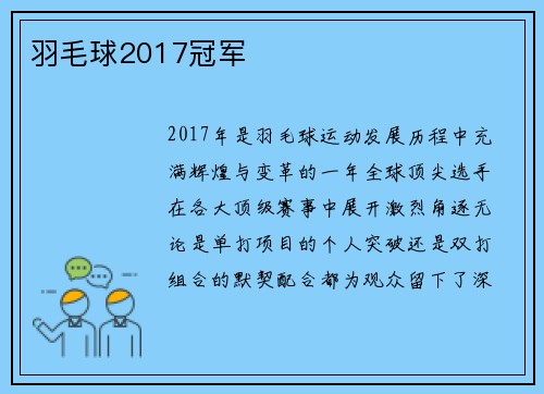 羽毛球2017冠军